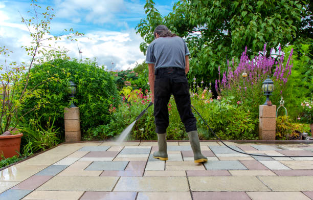 Best Driveway Pressure Washing  in Potomac Heights, MD
